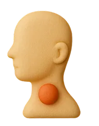 Swelling warmth and redness in the neck area